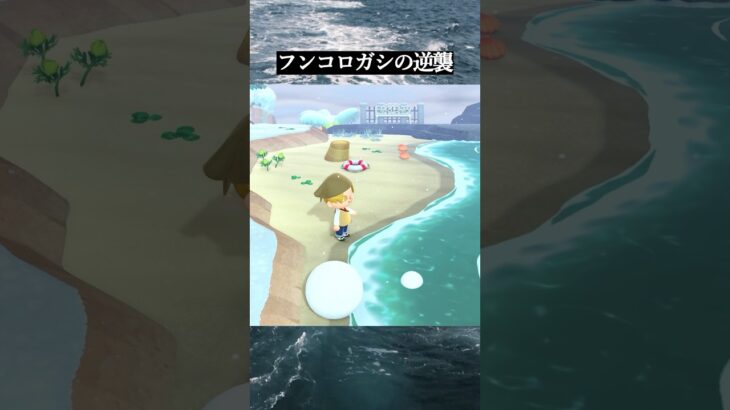 【あつ森】そんなとこに転がさんといて #あつ森 #shorts #nintendo