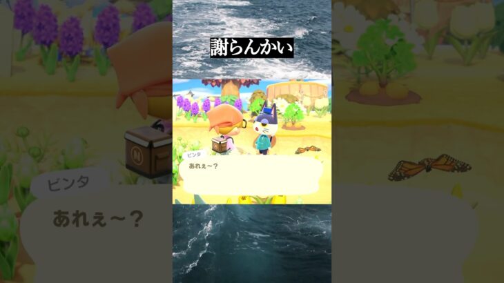【あつ森】何逃げてん #あつ森 #shorts #nintendo