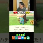 【あつ森】初見のハチさんの脅威 #shorts #ゲーム実況 #nintendo