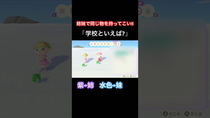 あつ森で学校といえば？な家具出したら姉妹なら揃うだろ！ #shorts #short #ゲーム実況 #切り抜き