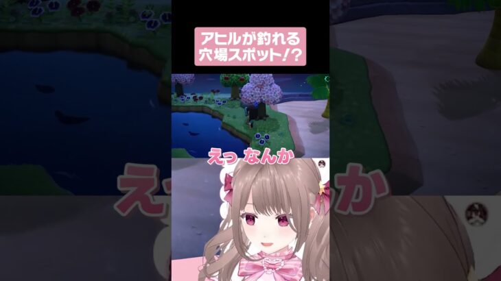 〚 あつ森 〛アヒルが釣れる穴場スポット！？  #shorts #個人vtuber #配信切り抜き #切り抜き動画 #あつまれどうぶつの森