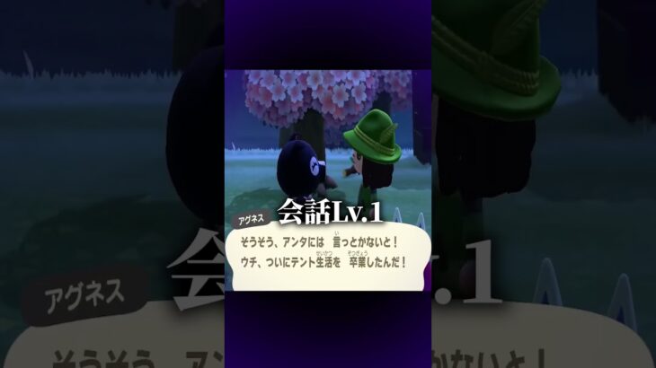 〚 あつ森 〛過ごした時間と親密さは無関係  #shorts #個人vtuber #配信切り抜き #切り抜き動画 #あつまれどうぶつの森