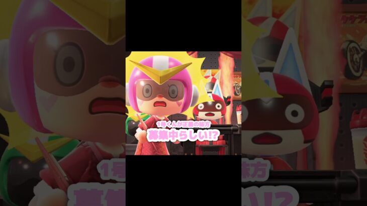 正義の味方だと思う方、ぜひヒーローに…？！？！#あつ森 #どうぶつの森 #あつまれどうぶつの森 #どう森 #shortvideo #short #shorts #ハピパラ #正義の味方が集う基地