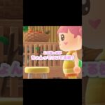 フリフリできる枝を持って走り回ろう…？！？！#あつ森 #どうぶつの森 #あつまれどうぶつの森 #どう森 #shortvideo #short #shorts #ほどよいえだ#フリフリできる枝
