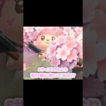 縦に長い「切り株」なんだよね、可愛いけど…？！？！#あつ森 #どうぶつの森 #あつまれどうぶつの森 #どう森 #shortvideo #short #shorts #ミニ切り株#あつ森ミニの木