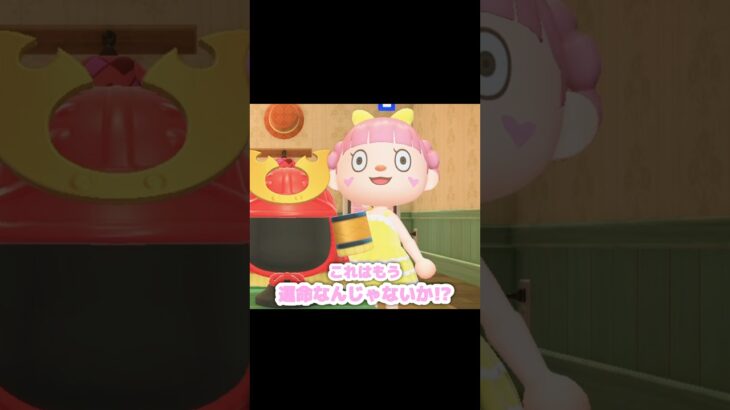 暴れながら走ったりすると音がする…？！？！#あつ森 #どうぶつの森 #あつまれどうぶつの森 #どう森 #shortvideo #short #shorts #あつ森かぶと#かっちゅうのすねあて