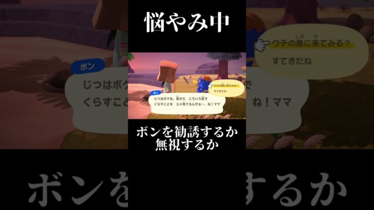 【あつ森】#shortvideo #shorts #short #あつ森 #あつまれどうぶつの森 #くろながくろ #ぱいんまめ