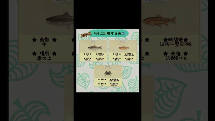 #あつまれどうぶつの森 #あつ森 #ゲーム #ゲーム実況 #switch #switch2 #チャンネル登録と高評価お願いします