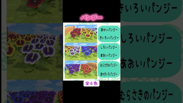 #あつまれどうぶつの森 #あつ森 #ゲーム #ゲーム実況 #switch #switch2 #チャンネル登録と高評価お願いします
