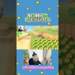 デカすぎ無理すぎ#あつ森 #あつまれどうぶつの森 #twitch配信