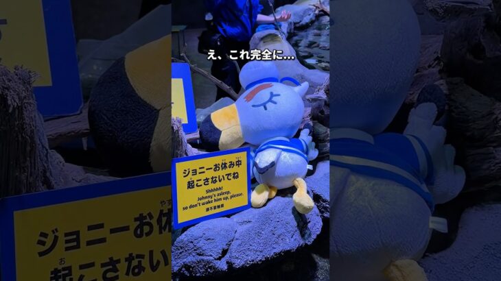 あつ森水族館がある意味えぐい…