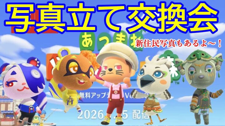 【あつ森・ライブ】　写真立て交換会　男気サイコロ勝負も！勝負勝負～　『視聴者参加型』
