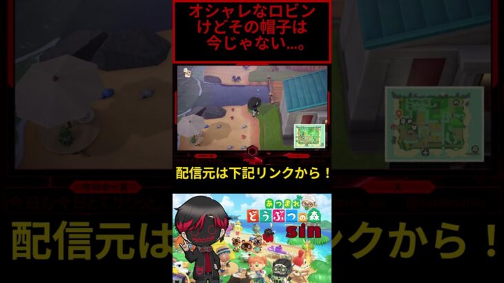 ロビンのおしゃれ。 #あつ森 #あつまれどうぶつの森 #コツ森 #しん〇