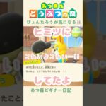 【あつ森】イースター!! ぴょんたろうの圧が強い…っ🥲笑#あつまれどうぶつの森