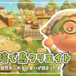 【あつ森】生配信で島クリエイト｜自然あふれる可愛いが詰まった島作り🍊🌳【島クリエイト】