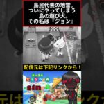 ウチの島の遊び犬。 #あつ森 #あつまれどうぶつの森 #コツ森 #しん〇