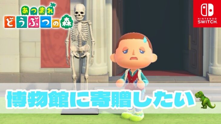 【あつ森】博物館完成させたい！【生配信】