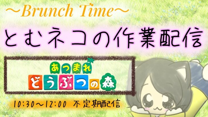 とむネコのあつ森作業配信　#作業配信 　#あつ森　#あつまれどうぶつの森