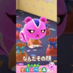 【あつ森】プレゼントになったももこがかわいすぎる！