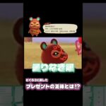 仲間を見つけて大興奮なるき【あつ森】