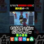 【あつ森】とうとう暗黒魔術の部屋に観光客が…!!