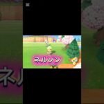 前回成功したのでいけると思った結果… #あつ森 #ネルソン