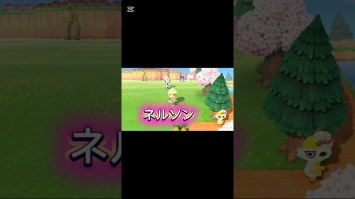 前回成功したのでいけると思った結果… #あつ森 #ネルソン