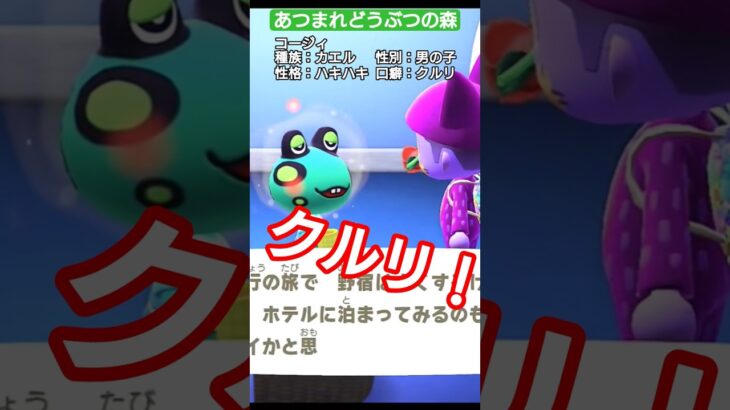 【#あつ森 】コージィ【#あつまれどうぶつの森 】