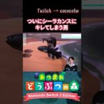 ついにシーラカンスにキレてしまう男「１から始めるあつ森」 #ゲーム実況 #あつ森 #あつまれどうぶつの森 #実況者