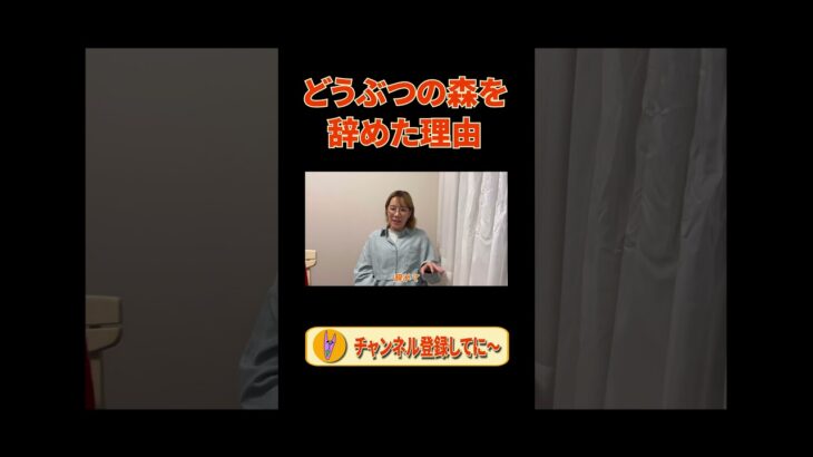 どうぶつの森を辞めた理由　#ゲーム　#あつ森　#たぬき　#パネルでポン #ちゃおちゃん