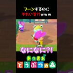 【あつ森】遊び方が可愛すぎるｗ