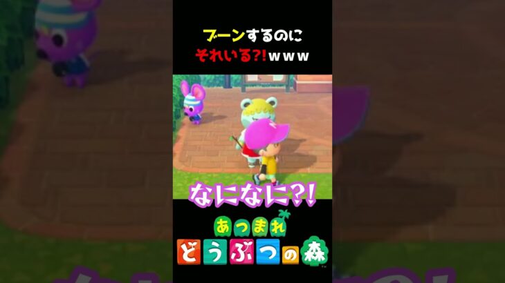 【あつ森】遊び方が可愛すぎるｗ