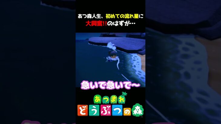 【あつ森】初めて見た流れ星に大興奮!!のはずが…
