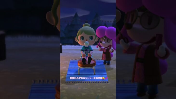 カットリーヌ💇‍♀️#あつ森