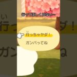 【あつ森】あの住民が引越し！？悩んだ結果…