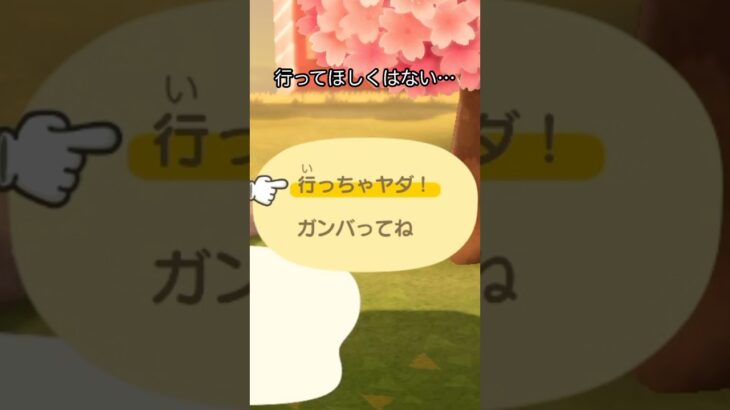 【あつ森】あの住民が引越し！？悩んだ結果…