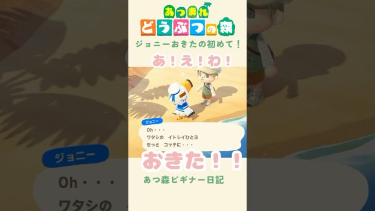 【あつ森】おはようジョニー!!🛳️💭#あつまれどうぶつの森