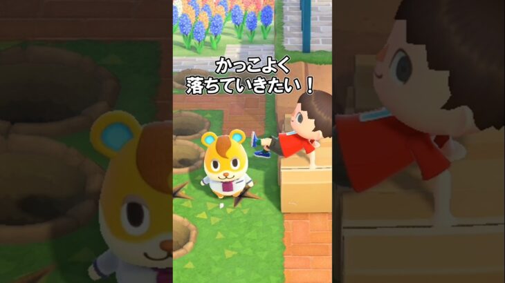ハムスケを助けてカッコよく落ちたい！ 【あつ森】@ほのげ