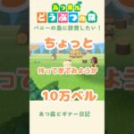 【あつ森】パニーの島に投資してみたい…!!!!🌳#あつまれどうぶつの森