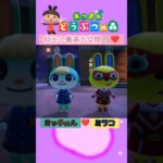 【あつ森】最高な空間🐰❤