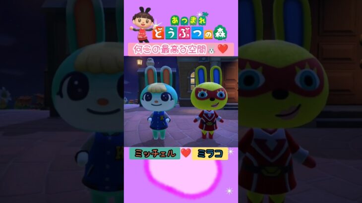 【あつ森】最高な空間🐰❤