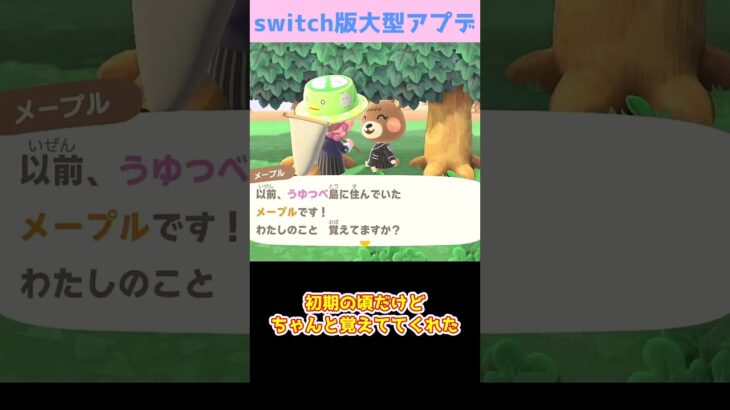 【あつ森】　記憶力対決　　　　　　　　　　　　　　　　　 #ゆっくり実況