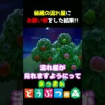 【あつ森】秘蔵の流れ星に願い事をした結果!!