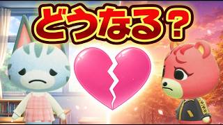 【あつ森アニメ】この恋、どうなるの？|ストロベリーホームパパ