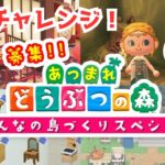 【あつ森】目指せ雑誌掲載！ニンドリの島、部屋募集に応募してみる！