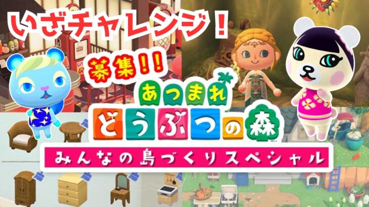 【あつ森】目指せ雑誌掲載！ニンドリの島、部屋募集に応募してみる！