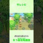 ＃あつ森竹レシピ #あつ森攻略講座 #あつ森季節レシピ ＃あつ森レシピ #あつ森コンプ  #あつ森初心者