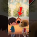 お前はここに住め #あつ森 #島クリ #マイデザイン