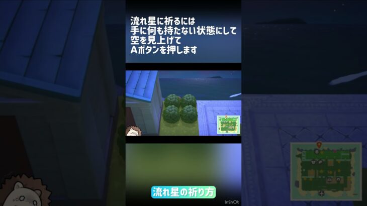 【あつ森】流れ星の祈り方(ＮＧつき)【まるぐり切り抜き】