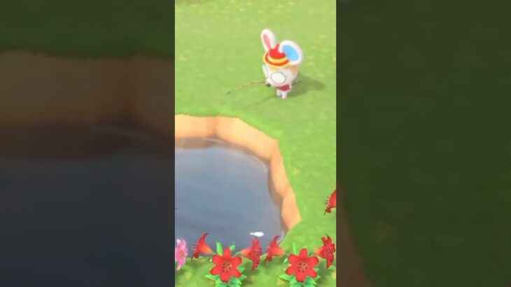 【あつ森】やってしまった！！す釣り大会で必死すぎて…